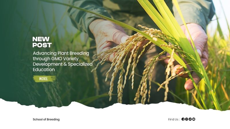 Artikel School of Breeding 4-min