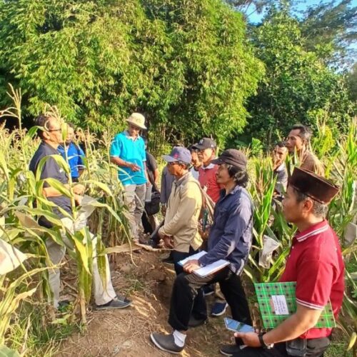Galeri Gene To Variety School – School of Breeding (3)