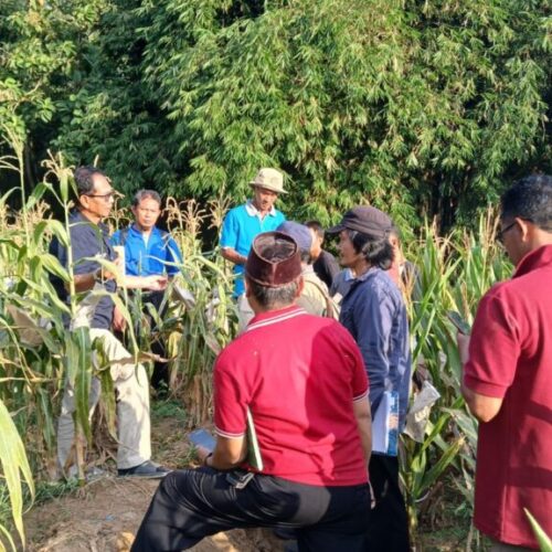Galeri Gene To Variety School – School of Breeding (4)