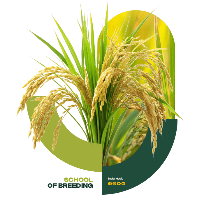 Profil School of Breeding-min Profil School of Breeding-min