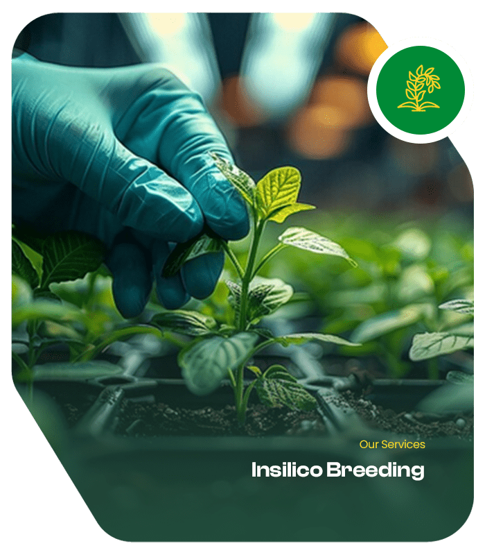 Services School of Breeding 3-min Insilico breeding employs computational tools and simulations to predict genetic outcomes of breeding programs without ...